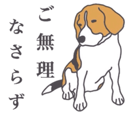 I love my beagle! 4 sticker #11624526