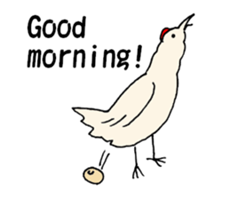 Samoyed, chicken and sheep sticker #11624648