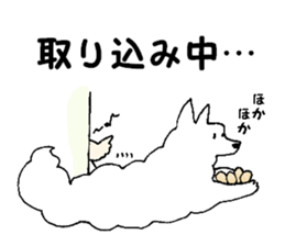 Samoyed, chicken and sheep sticker #11624655