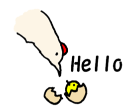 Samoyed, chicken and sheep sticker #11624656