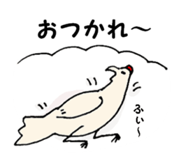 Samoyed, chicken and sheep sticker #11624660