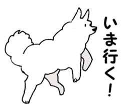 Samoyed, chicken and sheep sticker #11624663