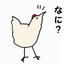 Samoyed, chicken and sheep sticker #11624672