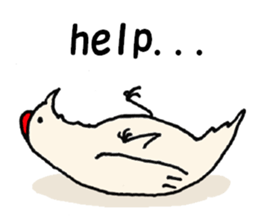 Samoyed, chicken and sheep sticker #11624674