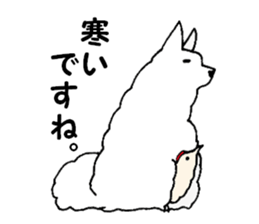 Samoyed, chicken and sheep sticker #11624678