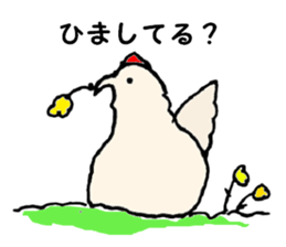 Samoyed, chicken and sheep sticker #11624681