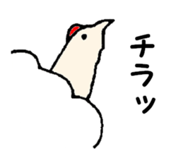 Samoyed, chicken and sheep sticker #11624683