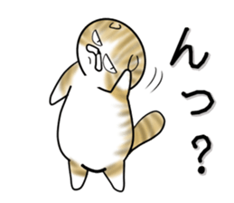 Cat three brothers2 sticker #11625051