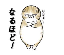 Cat three brothers2 sticker #11625054