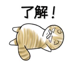 Cat three brothers2 sticker #11625055