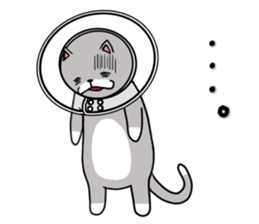 Cat three brothers2 sticker #11625057