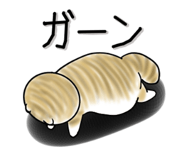 Cat three brothers2 sticker #11625061