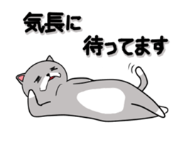 Cat three brothers2 sticker #11625065