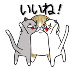 Cat three brothers2 sticker #11625075