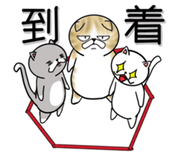 Cat three brothers2 sticker #11625084