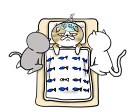 Cat three brothers2 sticker #11625085