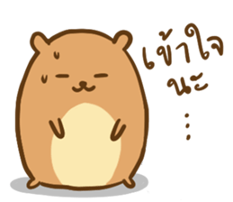 Orange & Grey : Hey Buddy, Take it easy sticker #11625571