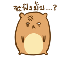 Orange & Grey : Hey Buddy, Take it easy sticker #11625579