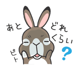 Standing Ear Bunny, COCOA sticker #11627865