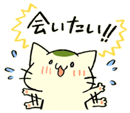 maccha-neko ver.2 sticker #11631360