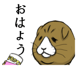 cat mask bodybuilder sticker #11636682