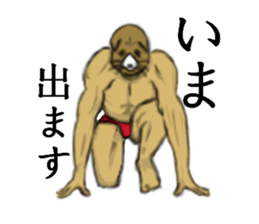 cat mask bodybuilder sticker #11636685