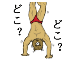 cat mask bodybuilder sticker #11636688