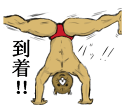 cat mask bodybuilder sticker #11636690