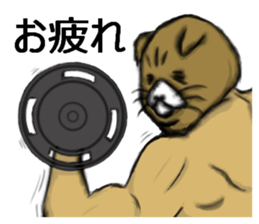 cat mask bodybuilder sticker #11636691
