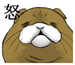 cat mask bodybuilder sticker #11636692