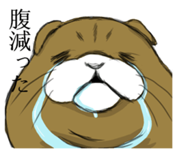 cat mask bodybuilder sticker #11636698