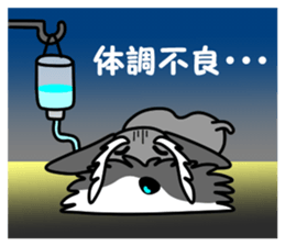 Syuna Musta 2 sticker #11637090