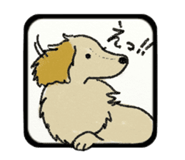 Pretty miniature dachshund. sticker #11637347