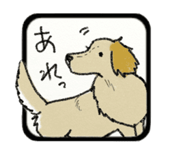Pretty miniature dachshund. sticker #11637348
