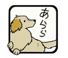 Pretty miniature dachshund. sticker #11637349