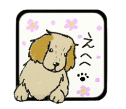 Pretty miniature dachshund. sticker #11637350