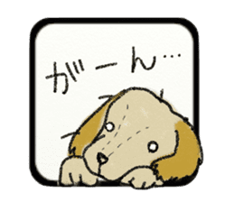 Pretty miniature dachshund. sticker #11637352