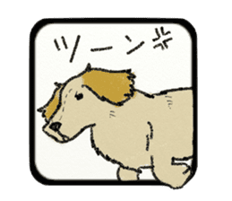 Pretty miniature dachshund. sticker #11637354