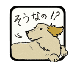 Pretty miniature dachshund. sticker #11637357