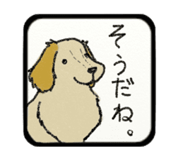 Pretty miniature dachshund. sticker #11637358