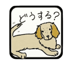 Pretty miniature dachshund. sticker #11637359