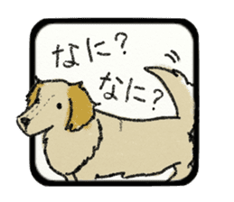 Pretty miniature dachshund. sticker #11637361
