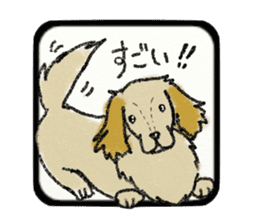 Pretty miniature dachshund. sticker #11637363