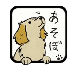 Pretty miniature dachshund. sticker #11637364
