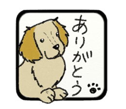 Pretty miniature dachshund. sticker #11637365