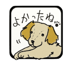 Pretty miniature dachshund. sticker #11637369