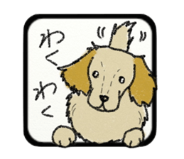 Pretty miniature dachshund. sticker #11637370