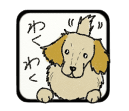 Pretty miniature dachshund. sticker #11637370