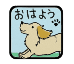 Pretty miniature dachshund. sticker #11637371