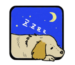 Pretty miniature dachshund. sticker #11637372